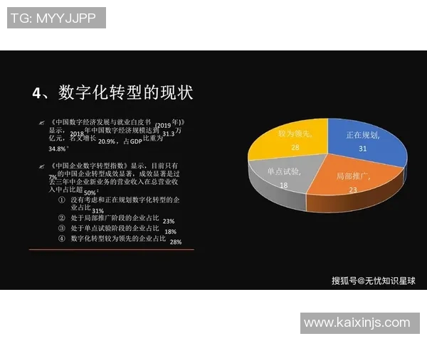 互联网时代下数字化转型推动企业创新与社会发展的新机遇与挑战分析