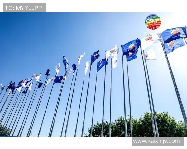 广州飞盘队中路突破新战术解析助力球队崛起与发展