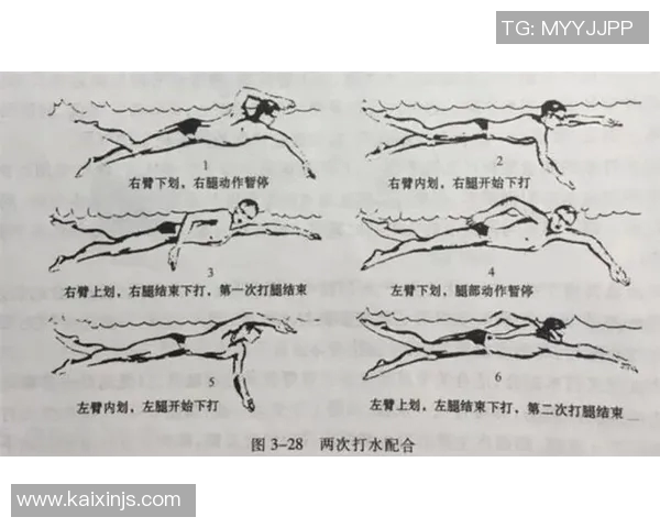 提高自由泳速度的科学方法与技巧全面解析