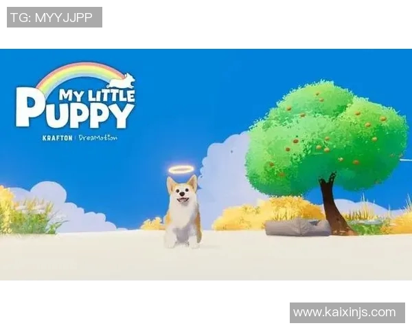 张娜的CSGO人生深度对话揭秘她的游戏旅程与成长经历