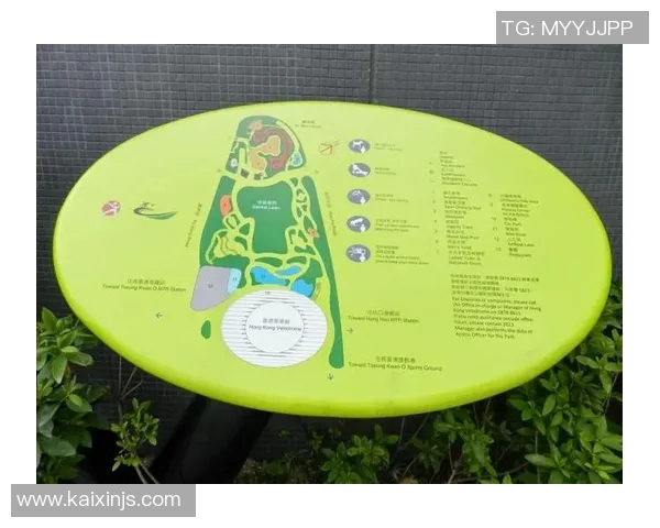 西安滑板队的灵活性探秘与发展之路分析